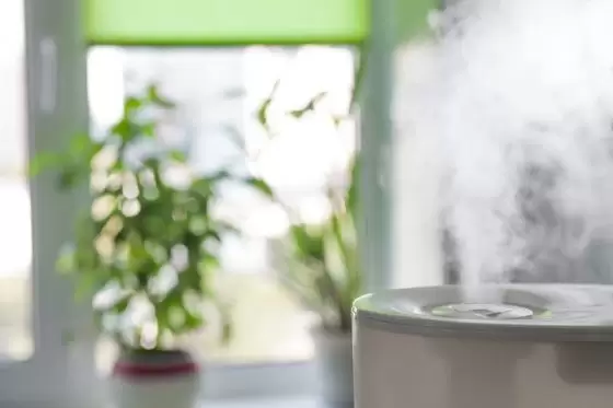 A humidifier adding moisture into a living room