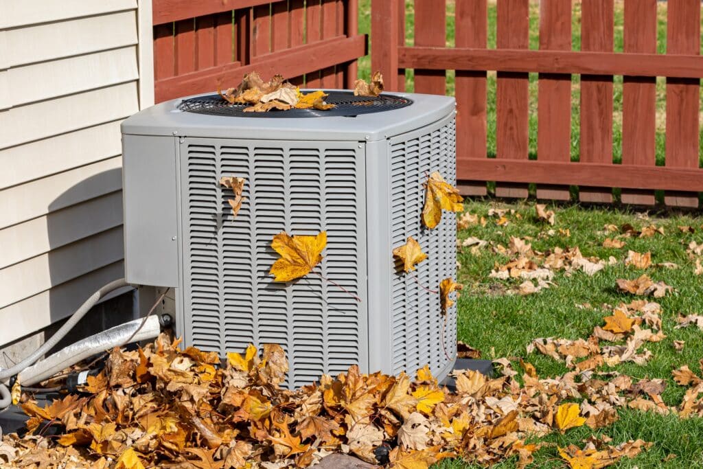 autumn leaves on condenser